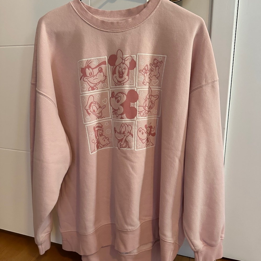 Disney Mickey and Friends pullover